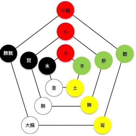 金木水火土 心肝脾肺腎